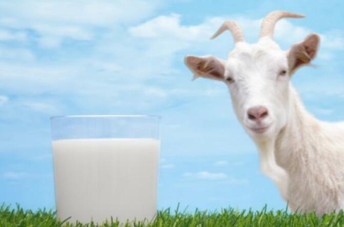 饮用中老年羊奶粉对中老年人的身体有什么作用？